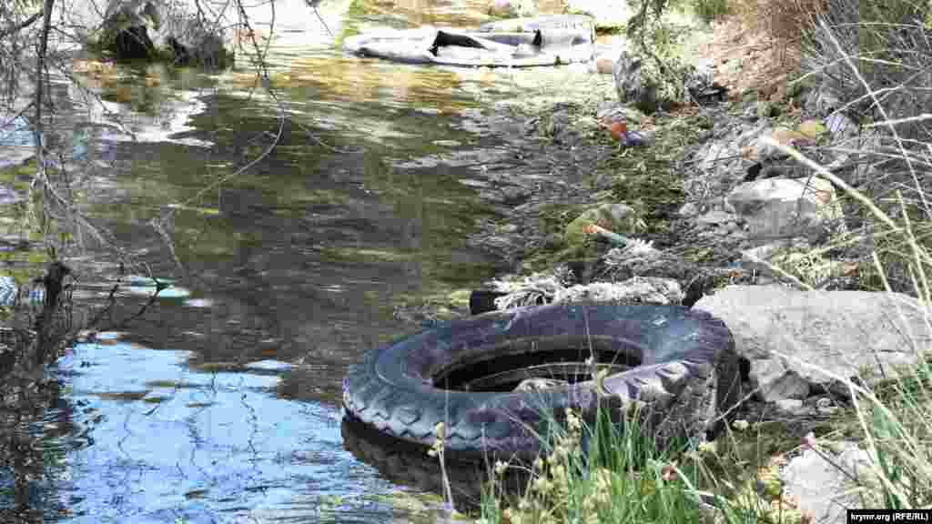 Так выглядит берег Стрелецкой бухты: покрышки, водоросли, бытовой мусор