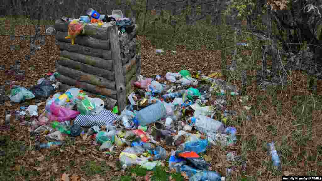 Переполненный мусорник в Алимовой балке