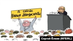 Карикатура Сергея Елкина